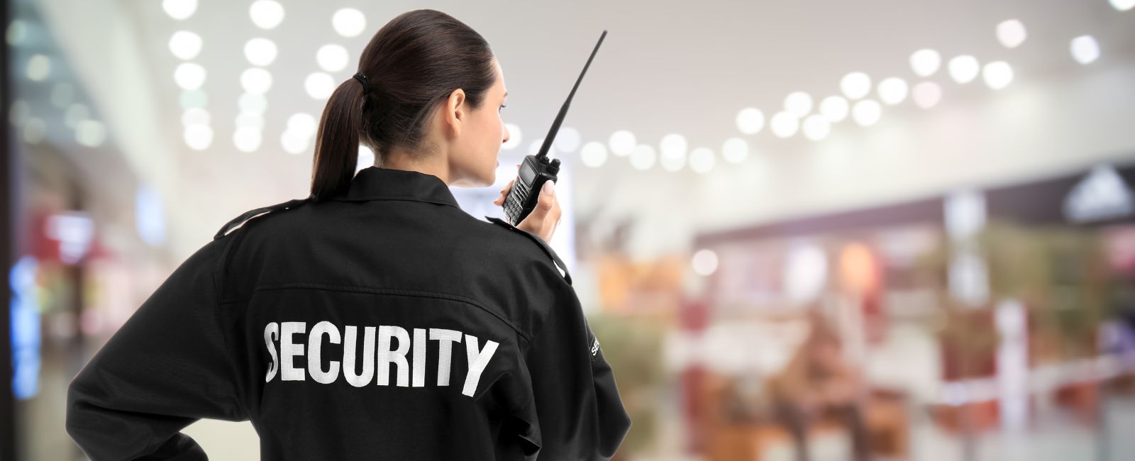 Salaris van een beveiliger in Nederland — de basis